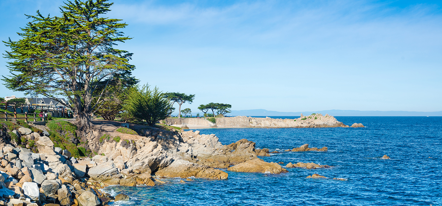 Stay at Sea Breeze Inn and Cottages and Feel Closer to Nature Take a Short Walk to Monterey Bay and 17-mile Drive 